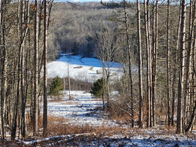 0 Mary Brown Hill Rd, Laurens, NY 13796