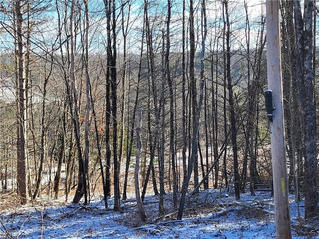 0 Mary Brown Hill Rd, Laurens, NY 13796