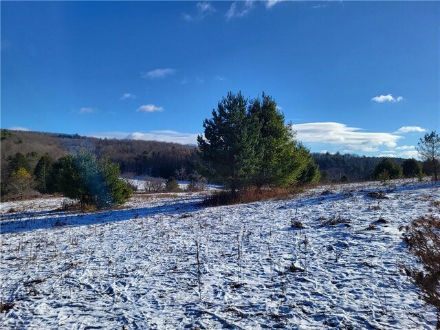 0 Mary Brown Hill Rd, Laurens, NY 13796