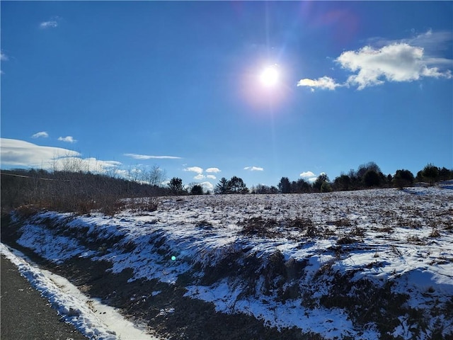 0 Mary Brown Hill Rd, Laurens, NY 13796