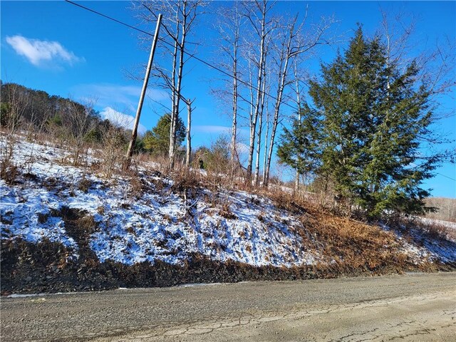 0 Mary Brown Hill Rd, Laurens, NY 13796