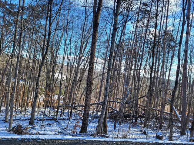 0 Mary Brown Hill Rd, Laurens, NY 13796