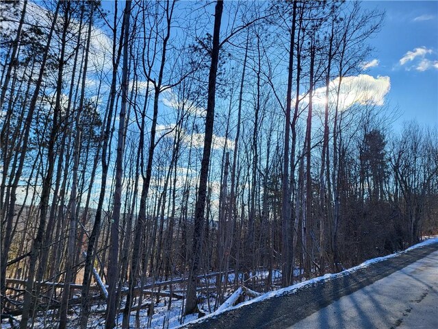 0 Mary Brown Hill Rd, Laurens, NY 13796