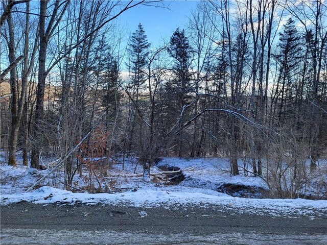 0 Mary Brown Hill Rd, Laurens, NY 13796