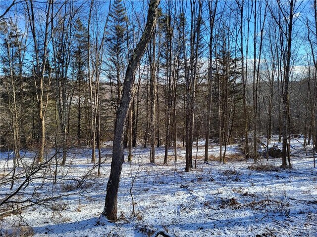 0 Mary Brown Hill Rd, Laurens, NY 13796