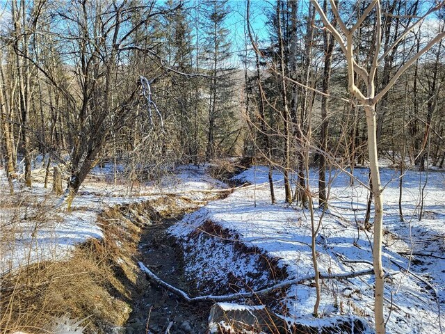 0 Mary Brown Hill Rd, Laurens, NY 13796