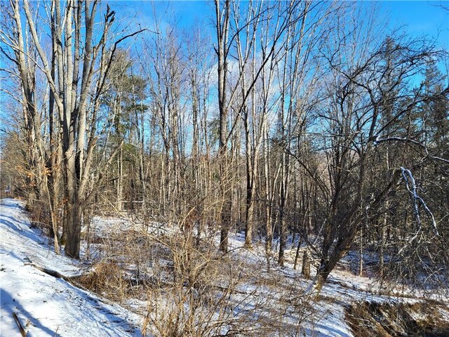0 Mary Brown Hill Rd, Laurens, NY 13796