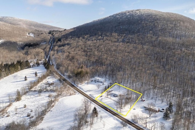 snowy aerial view featuring a mountain view