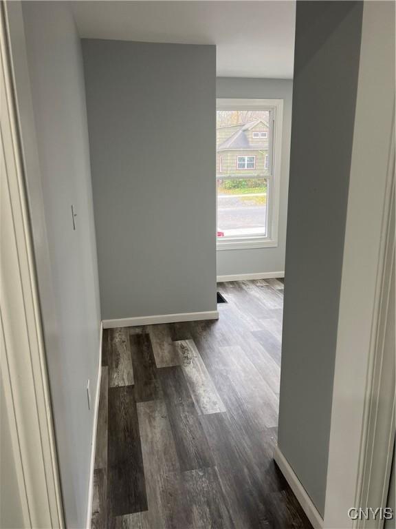 hallway with dark wood-type flooring