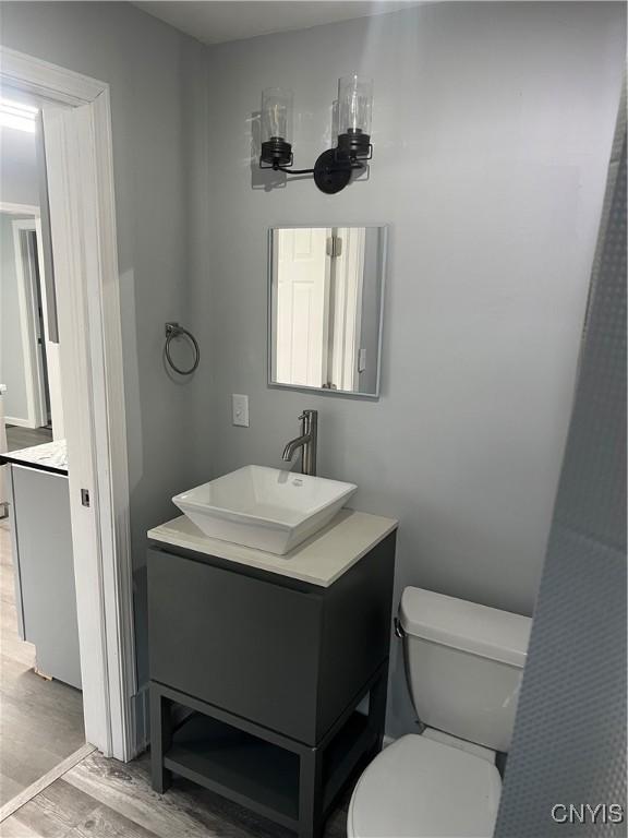 bathroom with vanity, hardwood / wood-style flooring, and toilet