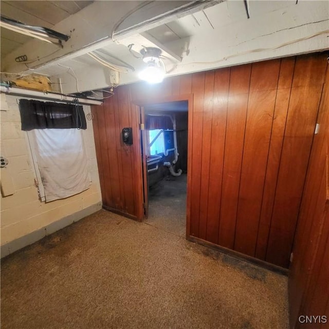 basement with wooden walls