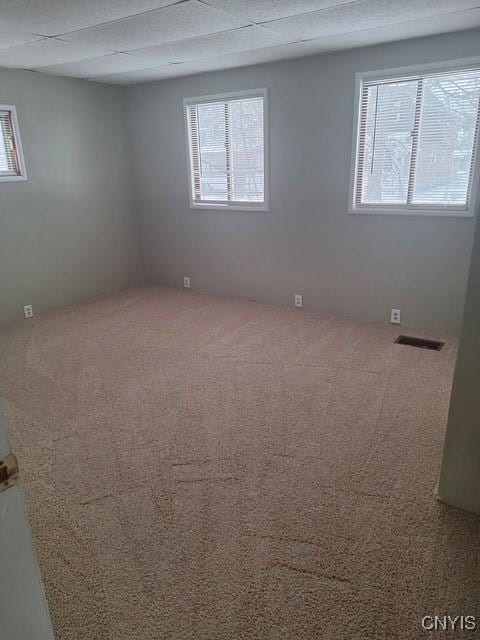 empty room with carpet flooring and a healthy amount of sunlight