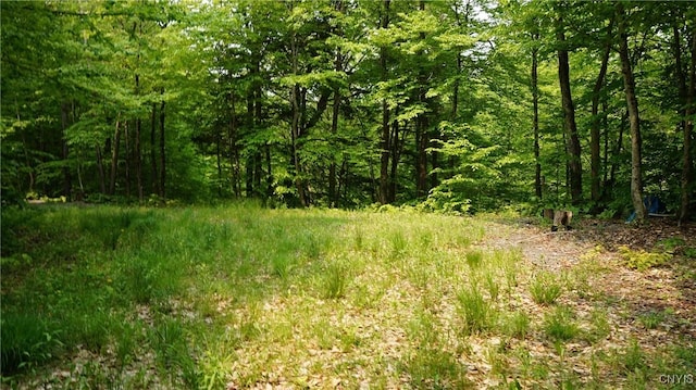 Listing photo 27 - caption unavailable