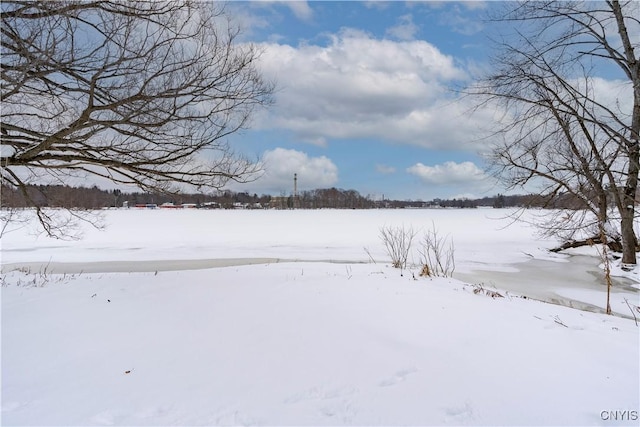 view of yard layered in snow