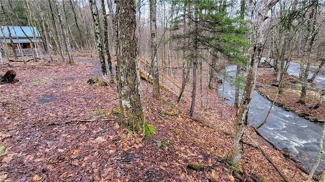 view of local wilderness