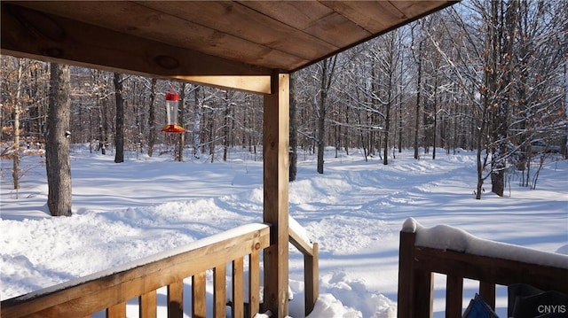 view of snowy yard