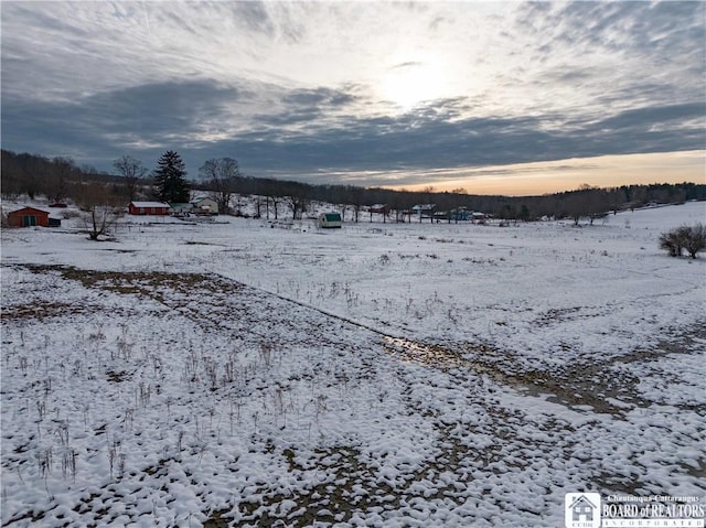 view of yard covered in snow