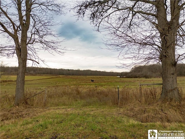 view of landscape featuring a rural view