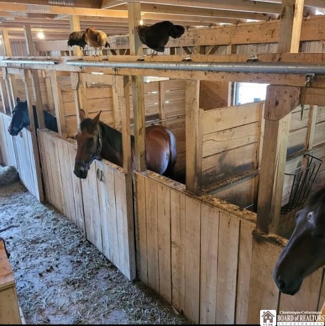 view of horse barn