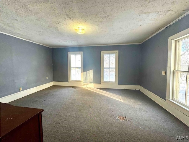 carpeted empty room featuring a textured ceiling and crown molding