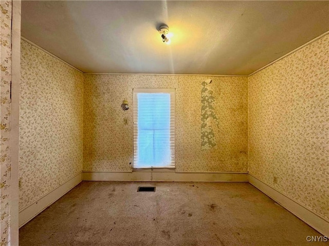 unfurnished room with carpet flooring