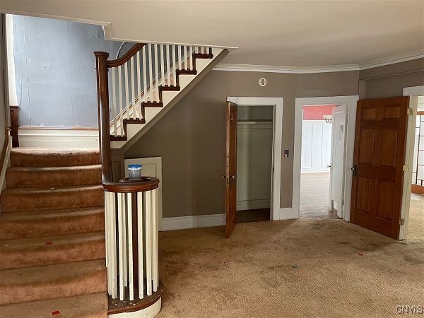 stairs with carpet flooring and crown molding