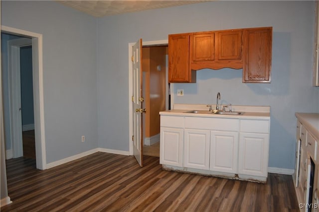 kitchen with dark hardwood / wood-style floors and sink