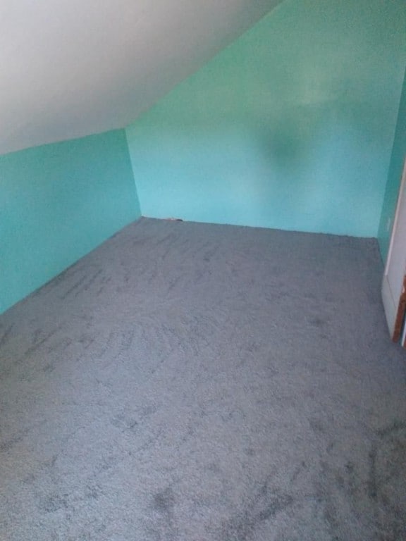 bonus room featuring carpet flooring and lofted ceiling