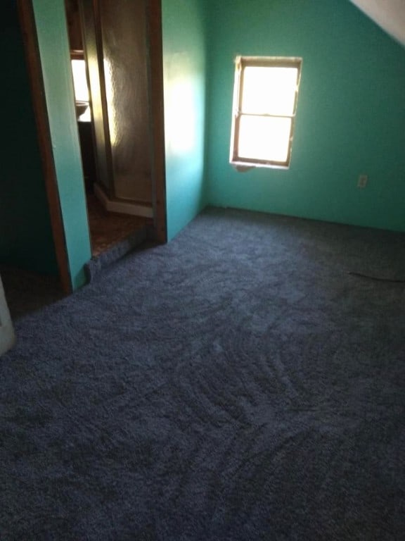 additional living space with carpet and lofted ceiling