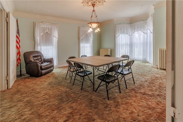 248 W Ave, Clarkson, NY 14420 - carpeted dining room with radiator and crown molding