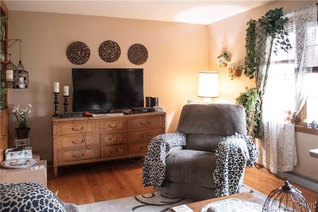 sitting room featuring wood finished floors