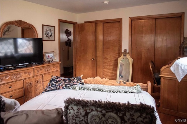 bedroom featuring multiple closets