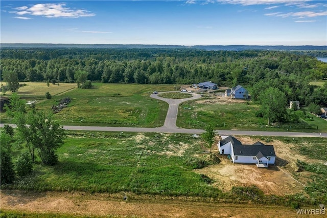 216 Castaway Ct, Lot Porter, NY 14174 - photo 4