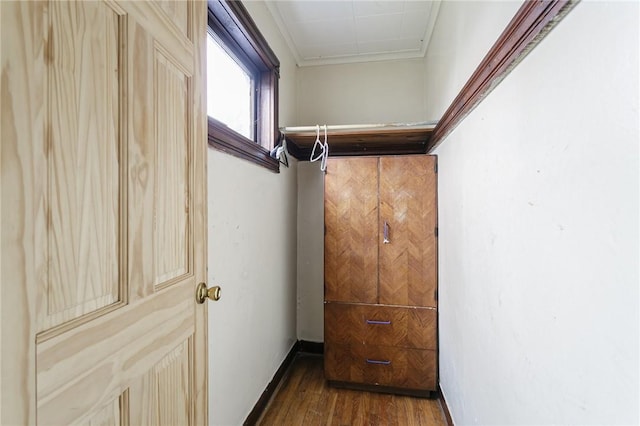 interior space featuring crown molding and dark wood-type flooring