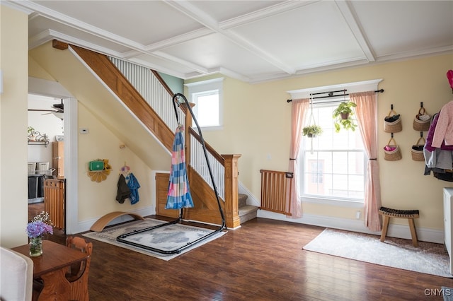 interior space featuring ceiling fan, crown molding, coffered ceiling, and hardwood / wood-style flooring