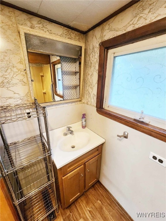 bathroom with hardwood / wood-style flooring and vanity