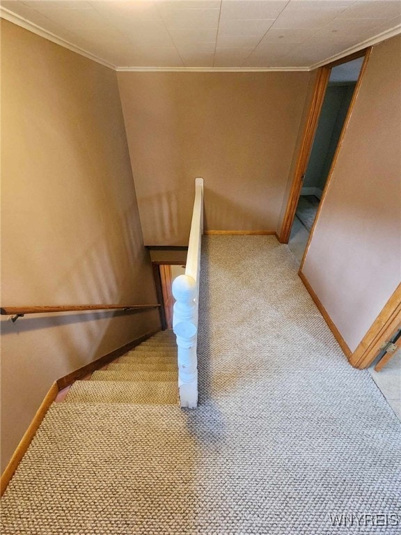 staircase with carpet floors and ornamental molding