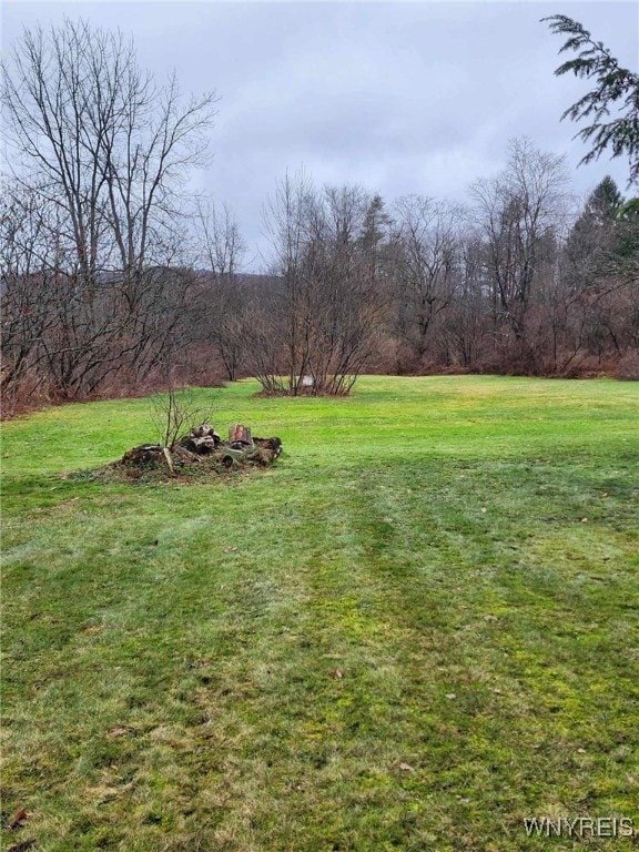 view of yard with a rural view