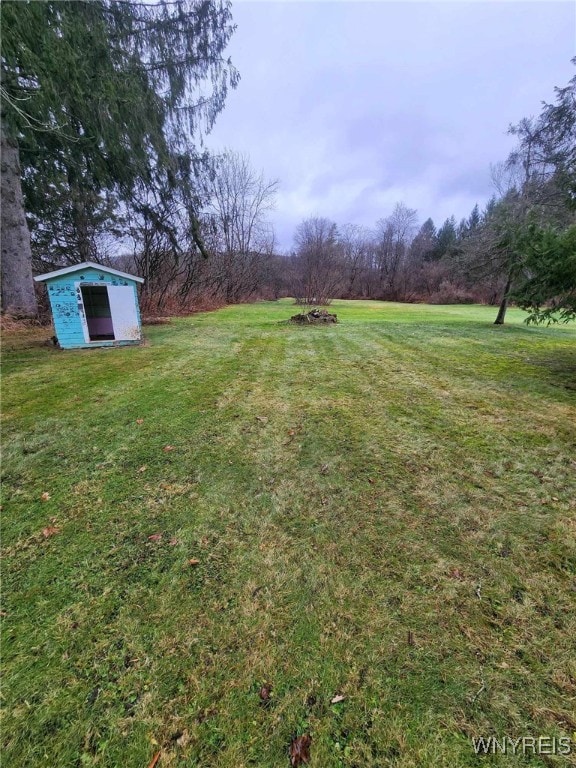 view of yard featuring a storage shed