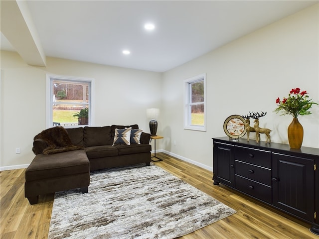 living room featuring plenty of natural light and light wood-type flooring