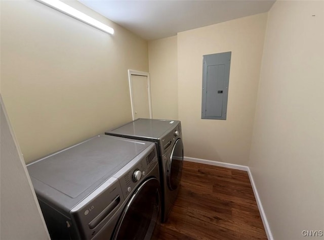 clothes washing area with separate washer and dryer, dark hardwood / wood-style flooring, and electric panel