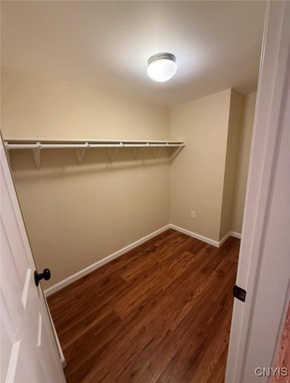 walk in closet featuring dark hardwood / wood-style floors