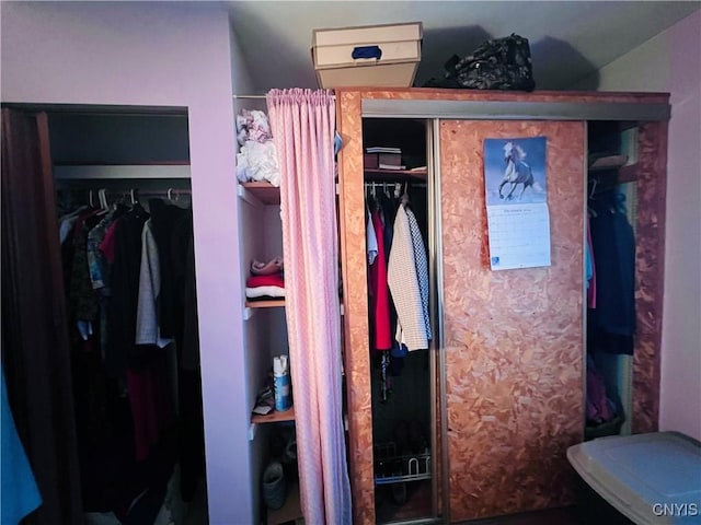 view of closet