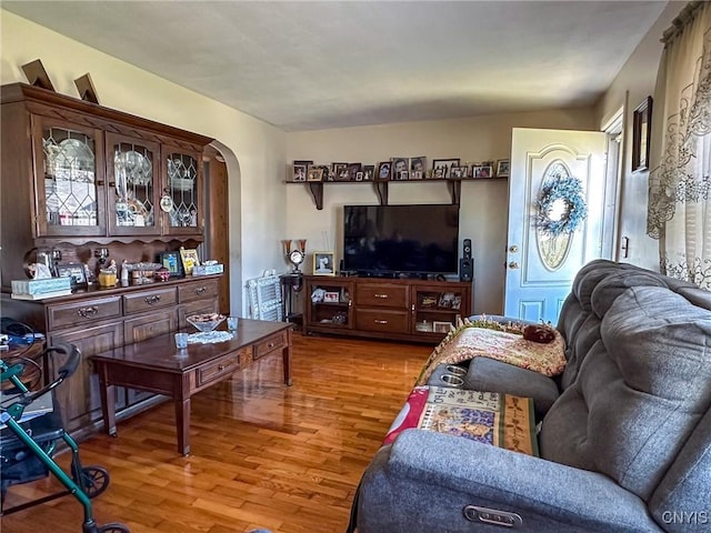 living room featuring hardwood / wood-style flooring