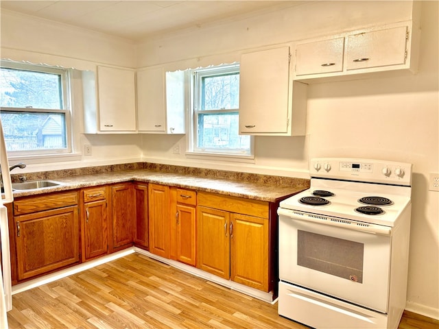 kitchen with electric range, plenty of natural light, sink, and light hardwood / wood-style flooring