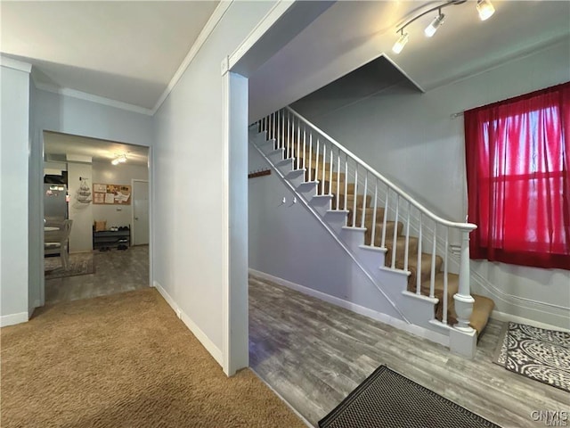 carpeted entryway with crown molding