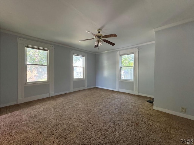 unfurnished room with carpet, ceiling fan, and ornamental molding