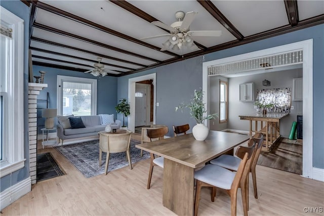 dining area featuring ceiling fan, beam ceiling, and light wood-type flooring