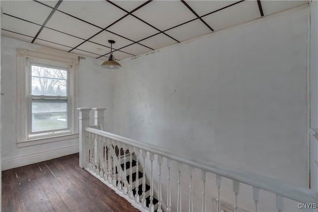 hall with a drop ceiling and dark wood-type flooring