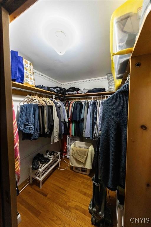 spacious closet with wood-type flooring